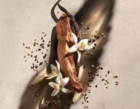 Detalle fragancia Zadig & Voltaire