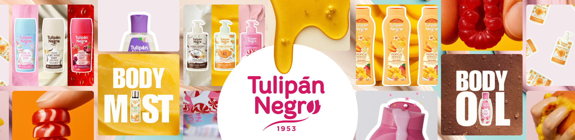 Tulipán Negro
