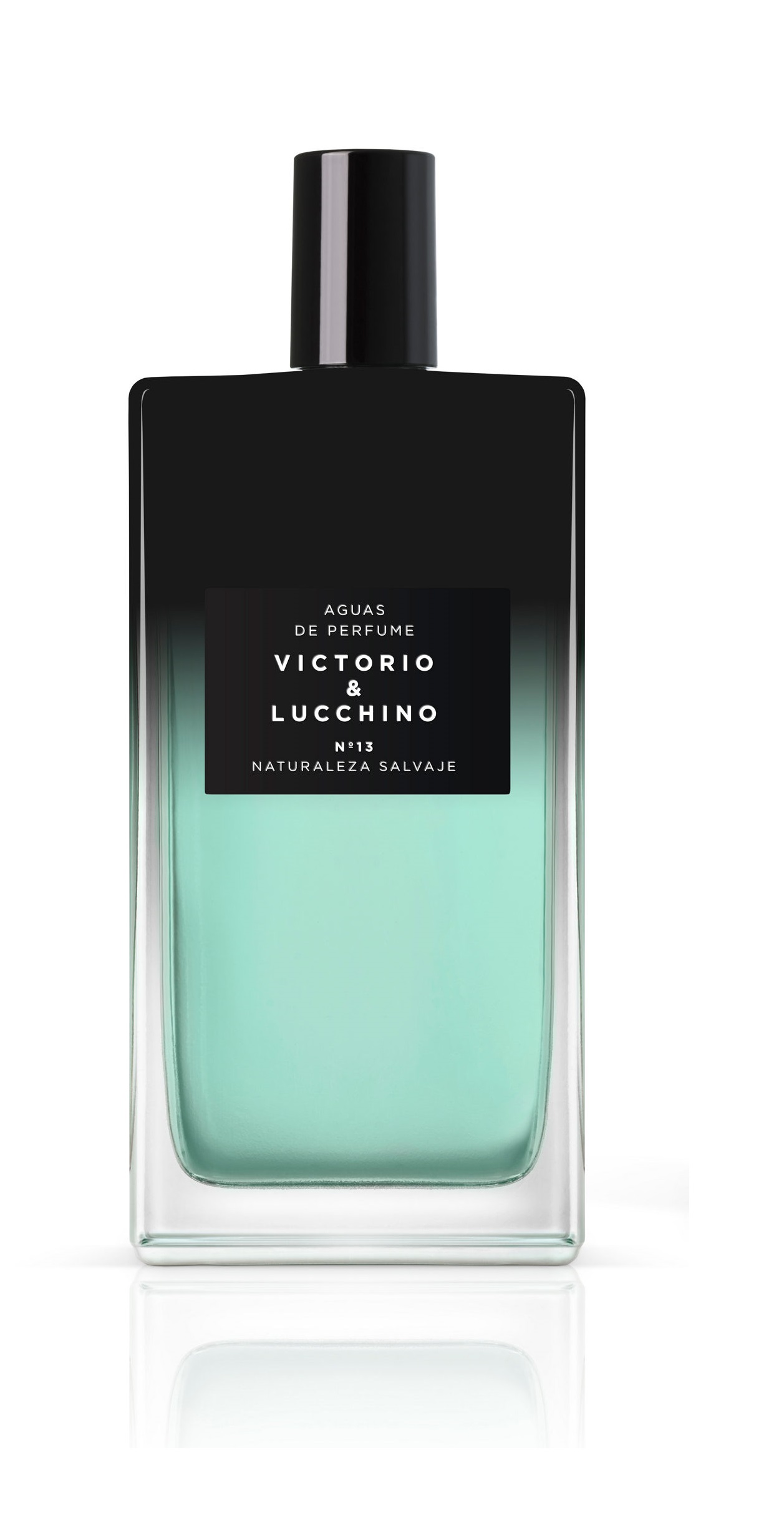 Victorio & Lucchino Aguas Masculinas de V&L Nº13 Naturaleza