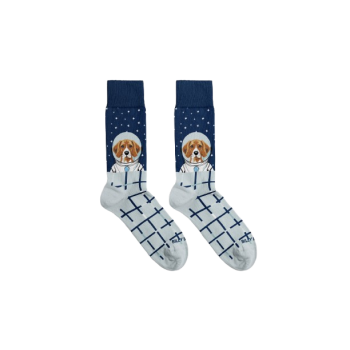 Calcetines Austronaut Dog