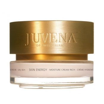 Crema Skin Energy Moisture Cream Rich