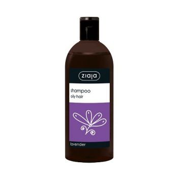 Champu Lavanda Cabello Graso