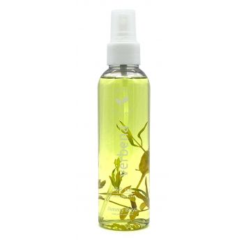 Verbena Splash Cologne