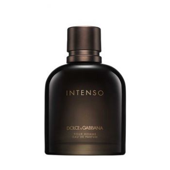 Dolce & Gabbana Pour Homme Intenso