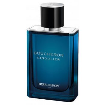  Singulier EDP 