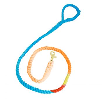Correia Corda Rainbow
