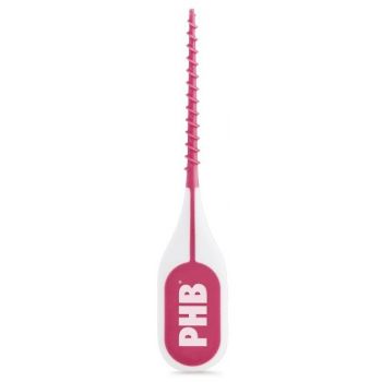 Interdental Recto