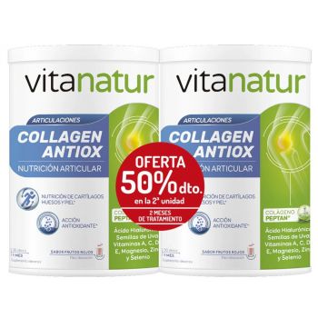 Colágeno Hidrolizado Vitanatur Collagen Antiox Plus