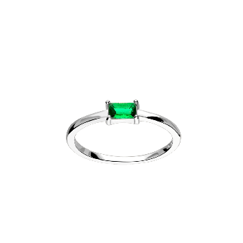 Anillo Natura