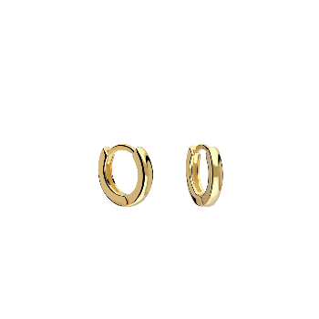 Pendientes Leonor