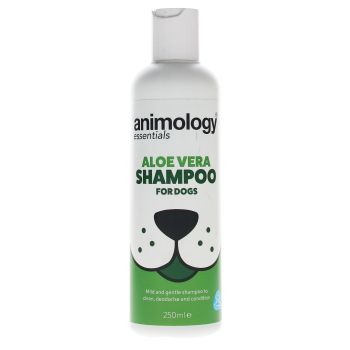 Champú Aloe Vera
