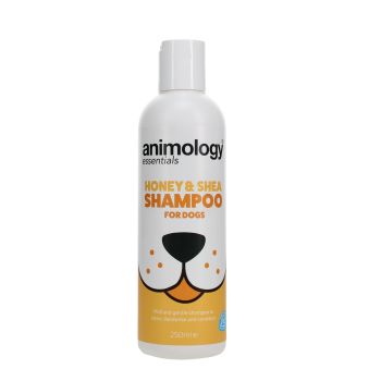 Champú Honey & Shea