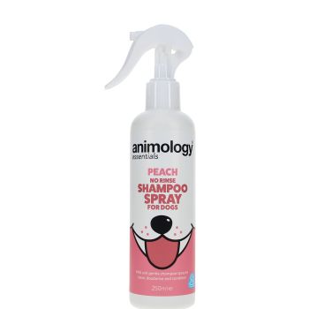 Champú No Rinse