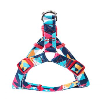 Arnês Azul Block Color