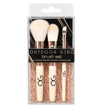 Set Brochas Cosmetic Brush