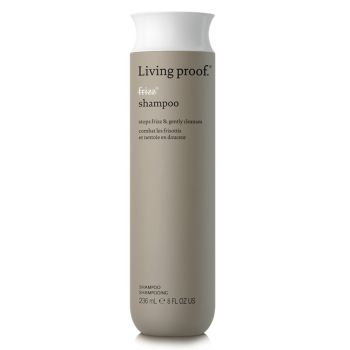 No Frizz Champú