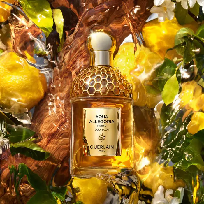 Guerlain Aqua Allegoria Forte Oud Yuzu ✓ Eau de Parfum