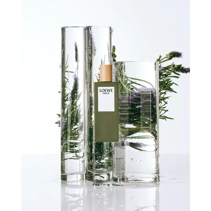 Loewe Esencia Pour Homme Perfume Hombre ✓ Estuche de Regalo