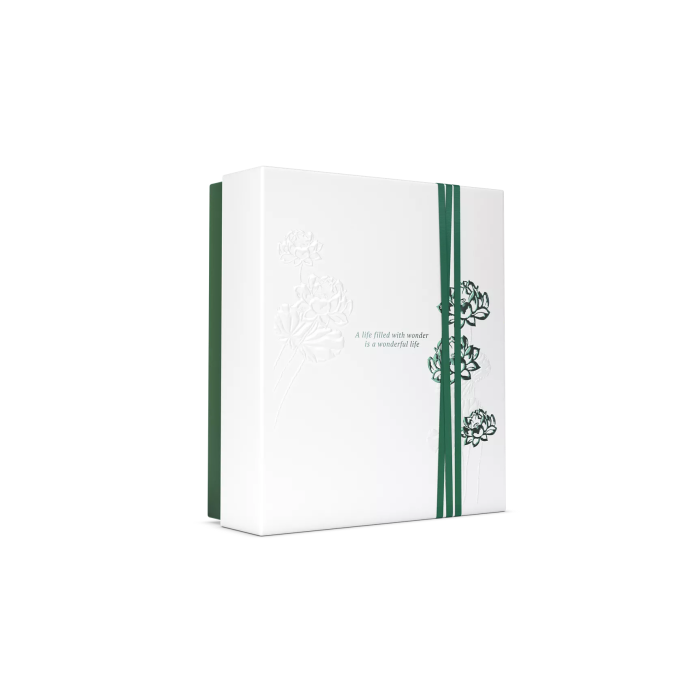 Set The Ritual of Jing Medium