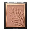 Color Icon Bronceador thumbnail