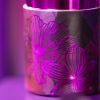 In The Bloom'Light Batom  thumbnail