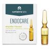 Endocare Essential Ampoules 1 Second Flash thumbnail