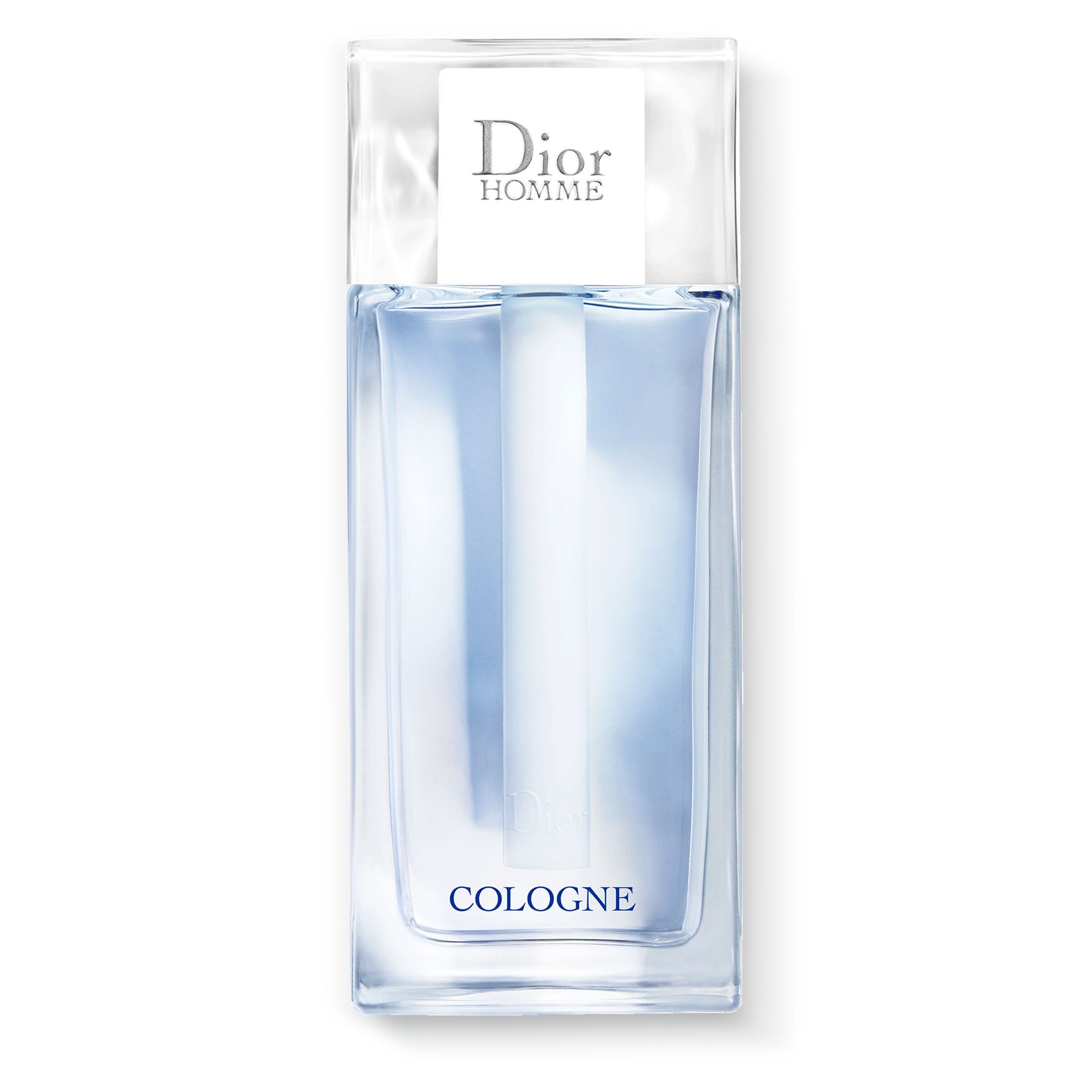 Primor dior homme parfum best sale