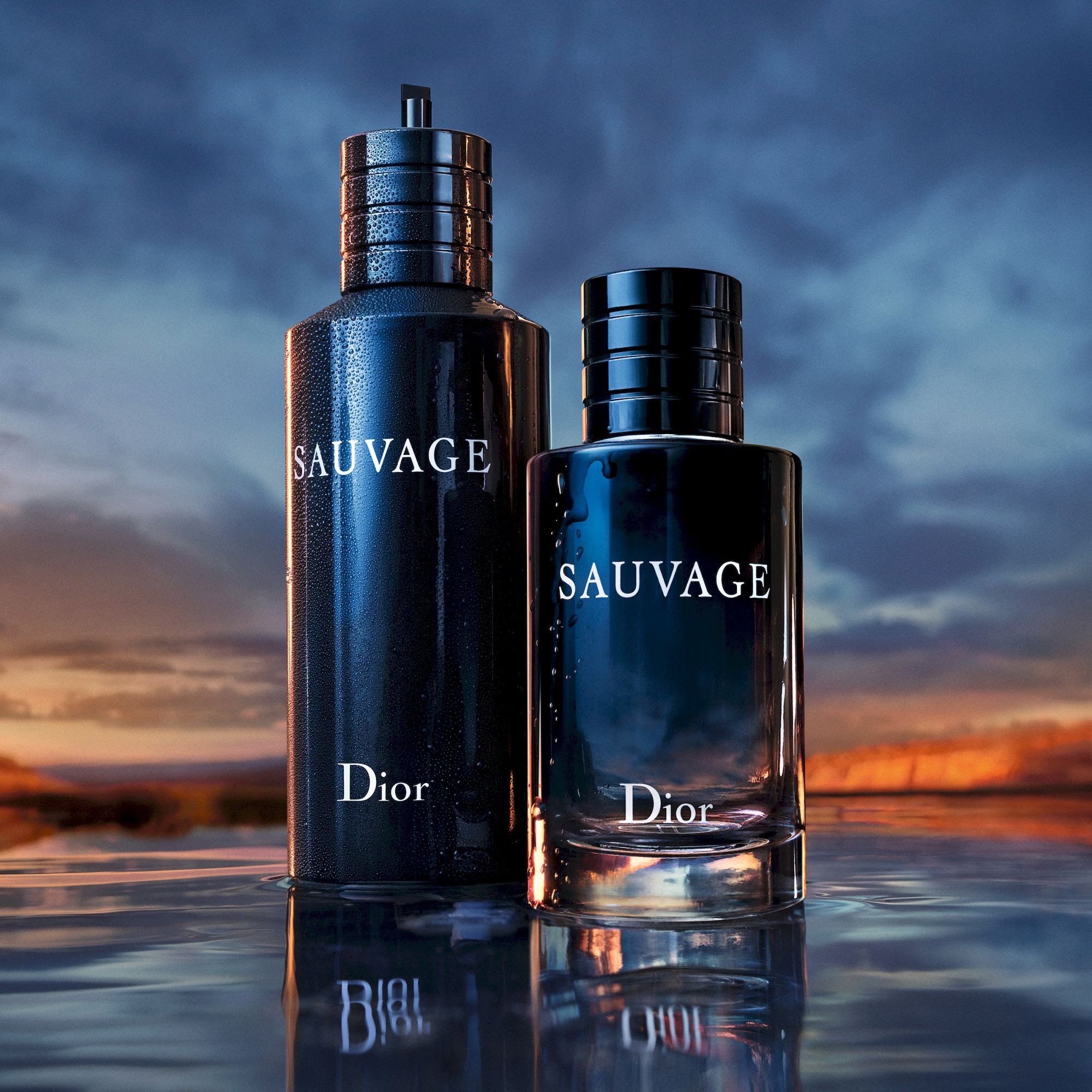 Sauvage dior hombre primor sale