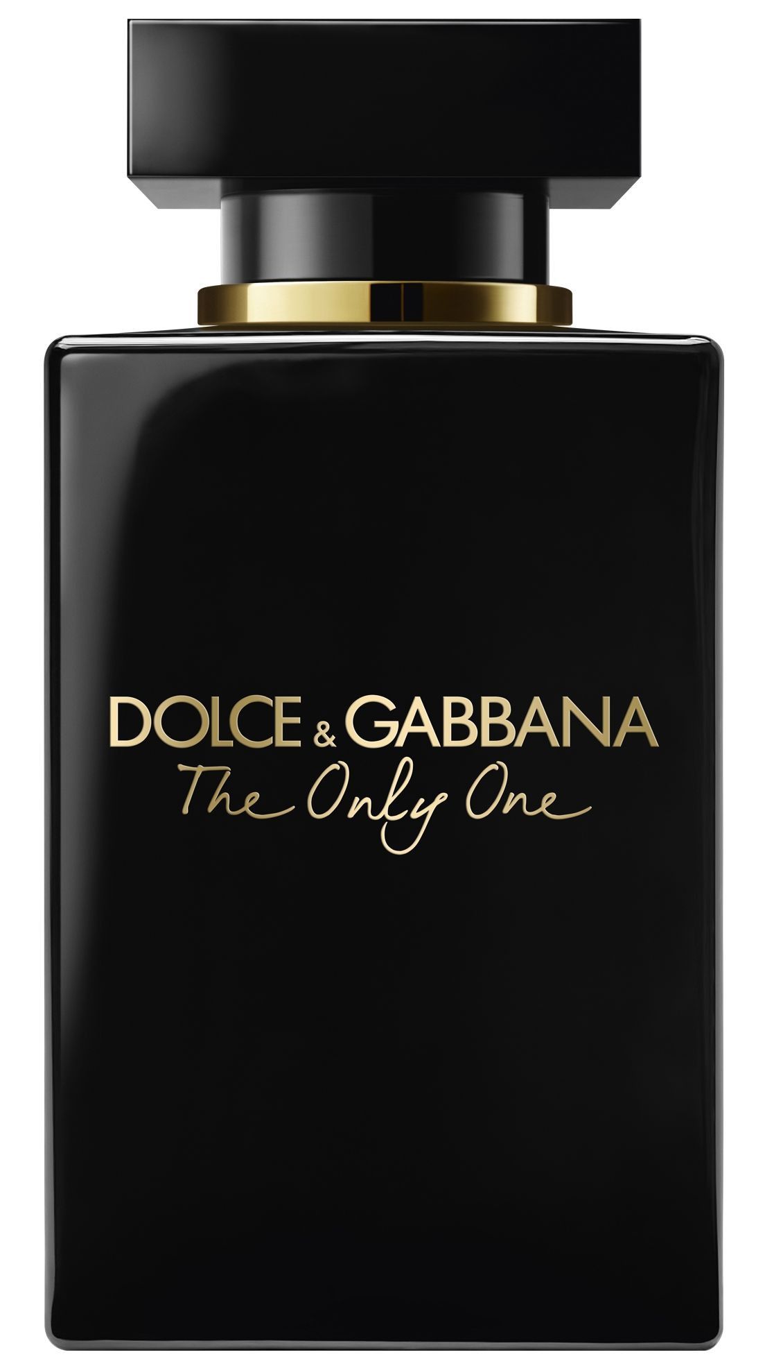 Dolce gabbana the only one hombre 2025