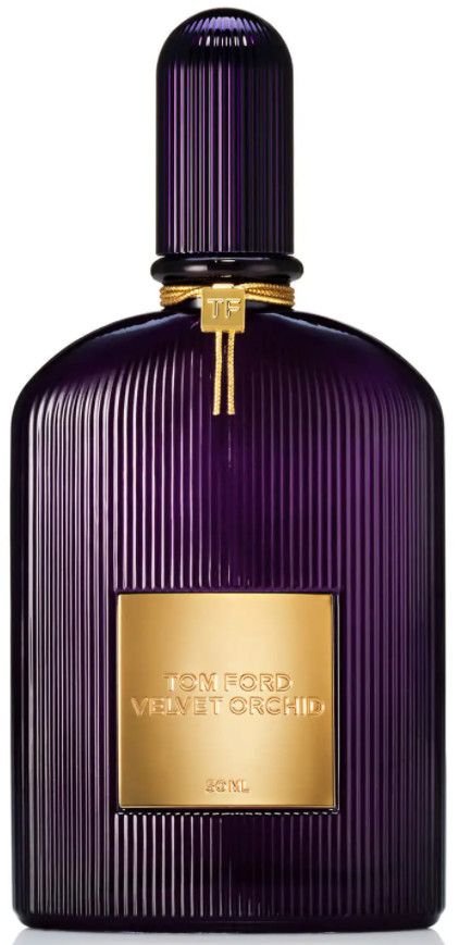 Velvet Orchid