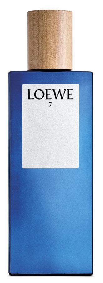 Loewe 7 que olor tiene on sale