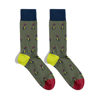 Calcetines de Dinosaurio Calcetines de Dinosaurio