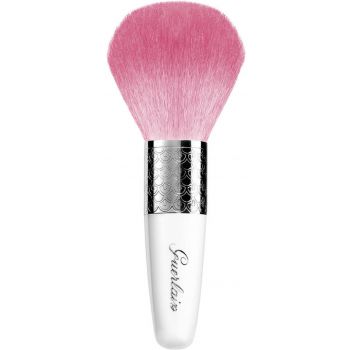 Météorites Pinceau Poudre Météorites Pinceau Poudre