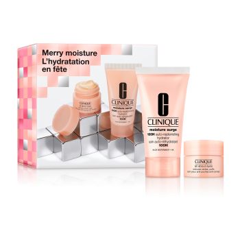 Estojo do Creme Hidratante Moisture Surge 100H