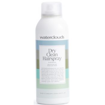 Spray Limpiador en Seco