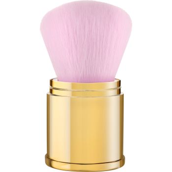 Alice In Wonderland Brocha Kabuki