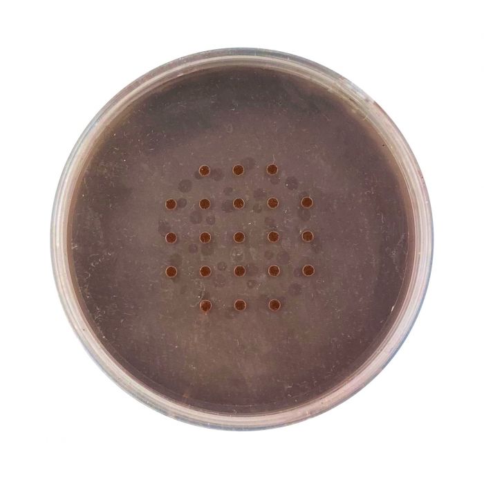 Base de Maquillaje en Polvo Mineral Powder Foundation