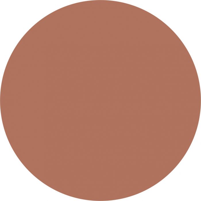 Terracotta Light Bronzer Effetto Viso Perfetto