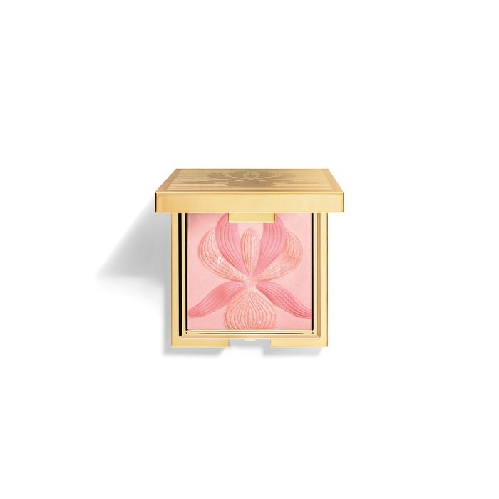 L´Orchidée Colorete Iluminador 15 gr