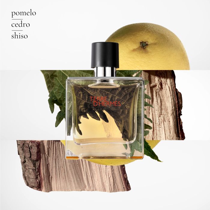 Hermes Terre d Hermes Parfum Eau de Parfum Perfumerias Primor