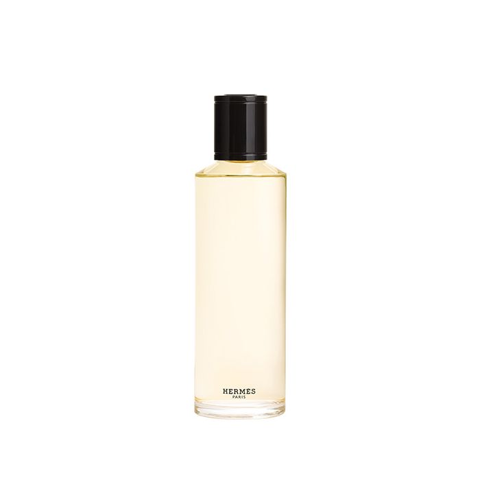 Terre D'Hermès Men Eau de Parfum Intense 200 ml