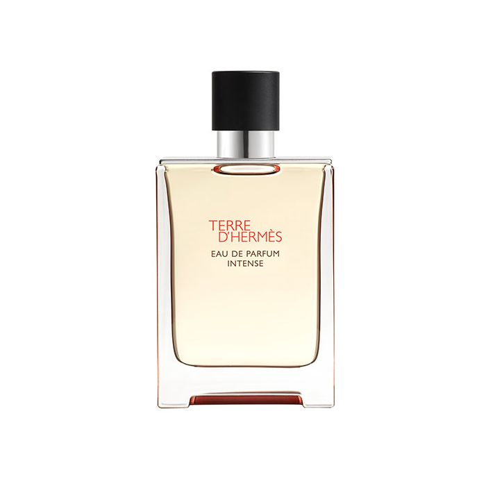 Terre D'Hermès Men Eau de Parfum Intense 100 ml