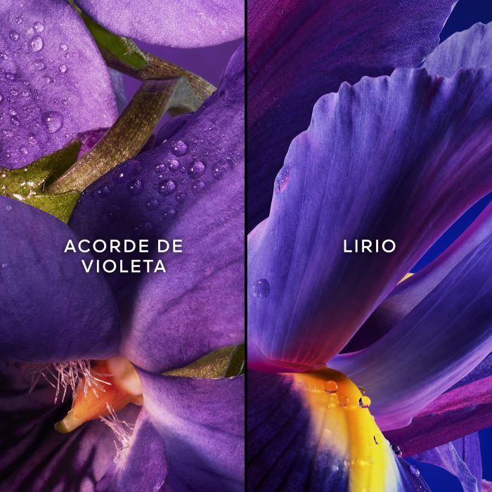 Les Légendaires Insolence Eau de Parfum