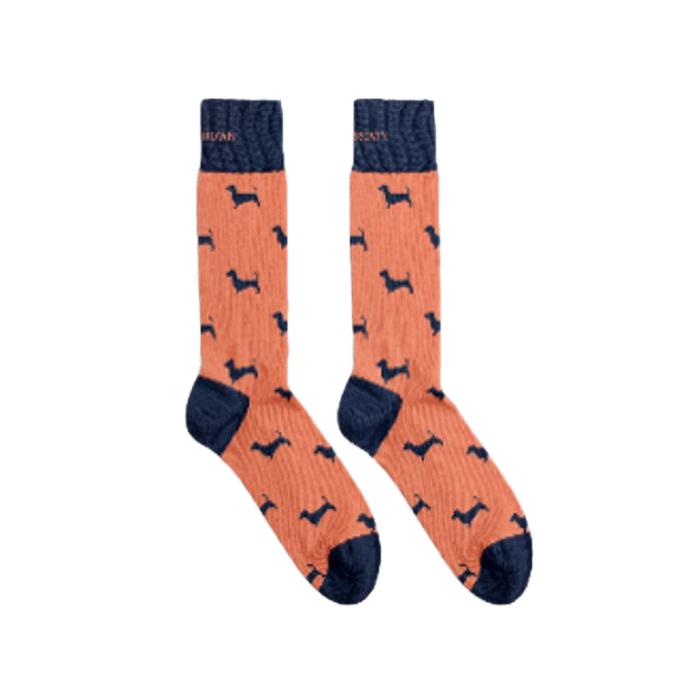 Billy Brown Caletines Dog Hogar