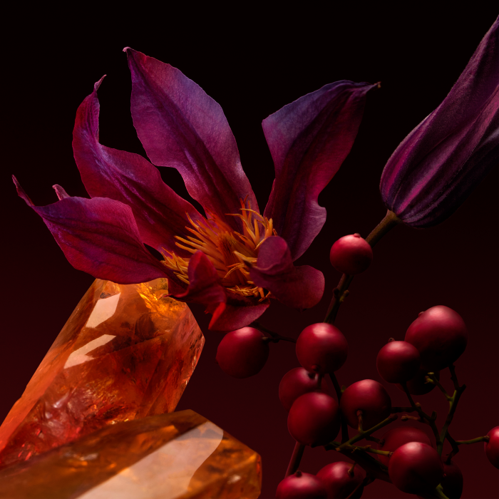 The Scent For Her Elixir Parfum