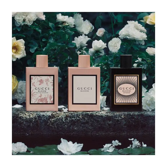 Colonia gucci mujer primor outlet