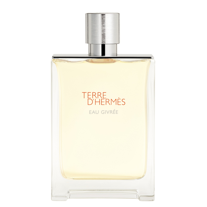 Terre d’Hermès Eau Givrée Eau de parfum 100 ml