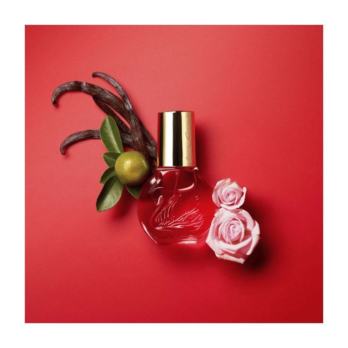 In Red EDP