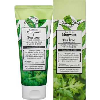 Mousse nettoyante Real Fresh Mugwort &amp; Tea tree Foam Cleanser