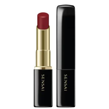Lasting Plump Lipstick Rouge à Lèvres